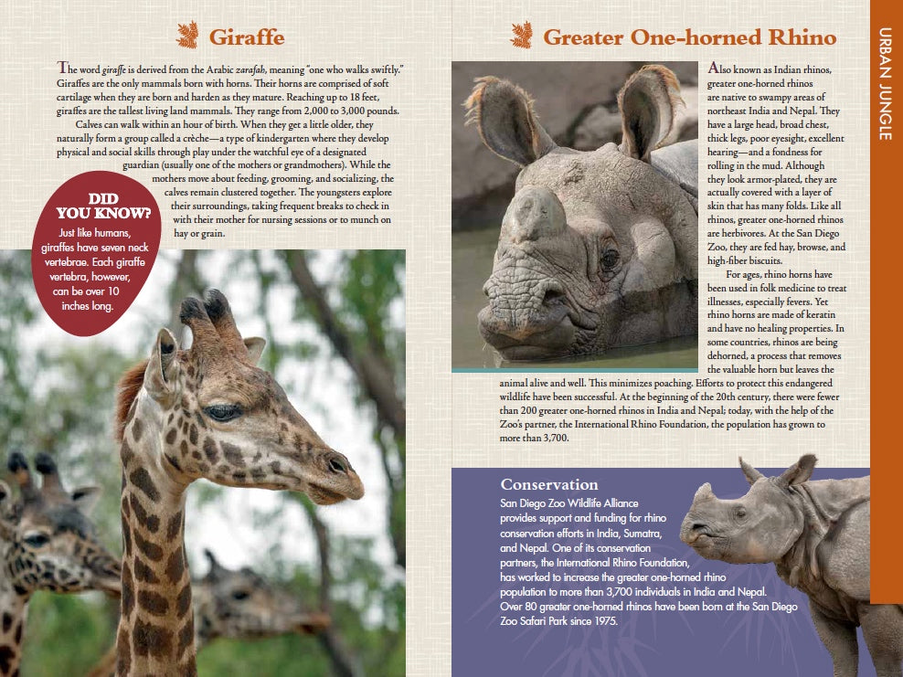 San Diego Zoo Official Guidebook