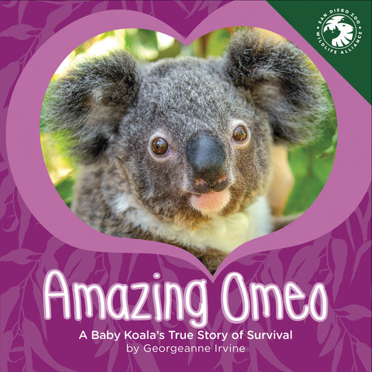 Amazing Omeo : A Baby Koala's True Story of Survival